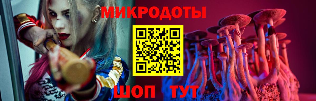 Сыктывкар  Псилоцибиновые грибы мицелий  Вход с VPN 